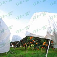 河北绿化防寒布制品厂 守护园林绿化的温暖屏障