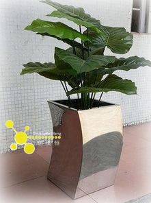 现代园林的艺术之选 创意不锈钢花器与花盆的搭配应用