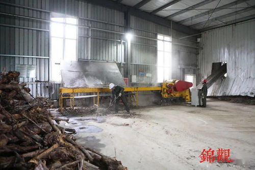 兴办“落叶工厂” 公园城市的秘密武器，了解一下园林绿化的新玩法！